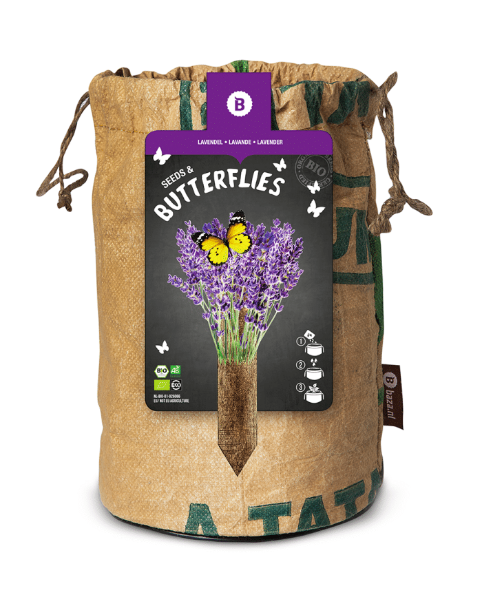 Seeds & Butterflies biologische kweekset lavendel van BAZA